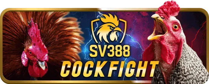 Dịch vụ hỗ trợ khách hàng AZ888